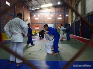 Judo Para Games